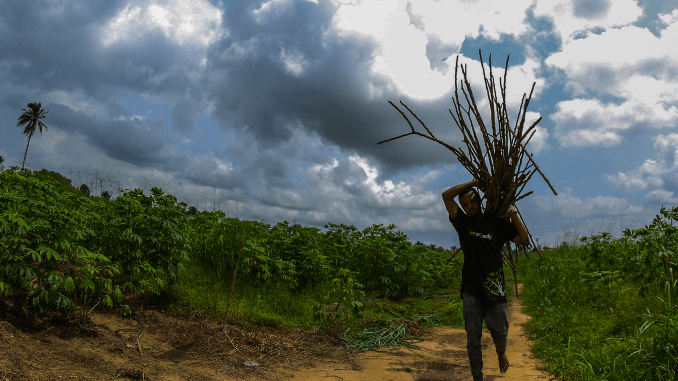 Farmcrowdy — Product Leadership Across an Agritech Ecosystem thumbnail